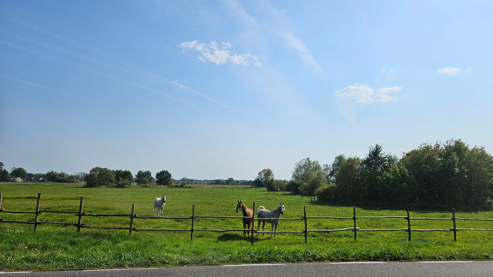 Mazowsze, wrzesień 2024 r. Fot. Izabela Adrian |IMGW-PIB